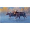 Image 1 : Kelly Dangerfield - Autumn Mist