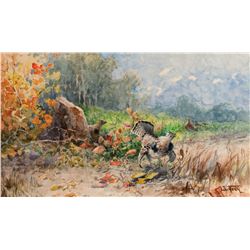 John Fery - Ruffed Grouse
