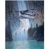 Image 1 : Ross Buckland - Out of Juneau