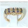 Image 1 : 1221 ILIAS LALAOUNIS 18k Gold Pin
