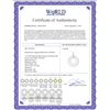 Image 2 : 1.19 CTW Diamond Necklace 14K White Gold - REF-71X3R