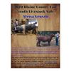 Image 1 : Alyssa Gruszie - Market Beef
