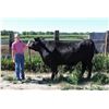 Image 2 : Jessa Schroder - Market Beef