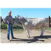 Image 2 : Seth Schroder - Market Beef