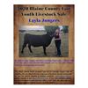 Image 1 : Layla Jungers - Market Beef