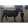 Image 2 : Layla Jungers - Market Beef