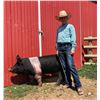 Image 2 : Fletcher Anderson - Market Hog