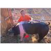 Image 2 : Kyle Hudon - Market Hog