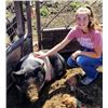 Image 2 : Rebecca Stroh - Market Hog