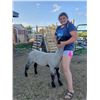 Image 2 : Natalie Richman - Market Lamb