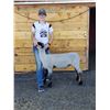 Image 2 : Hannah Richman - Market Lamb