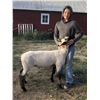 Image 2 : Walter Schoen  - Market Lamb