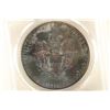 Image 2 : 2013 AMERICAN SILVER EAGLE PCGS MS66 TONED