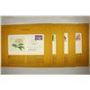 Image 1 : 4 ASSORTED 1ST DAY ISSUE ENVELOPES WITH STAMPS