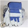 Image 1 : 12 PAIRS OF FORCEFIELD WORK GLOVES