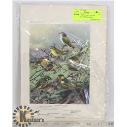 16 EARLY 20TH CENT. COLOR PLATES FEATURING BIRDS