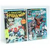 Image 1 : 2 X AMAZING SPIDER MAN COMICS # 151 AND # 344 KEY