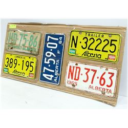 ESTATE COLLECTION OF 5 VINTAGE LICENSE