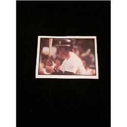 1978 SSPC New York Yankees Frank Healy