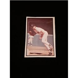 1978 SSPC New York Yankees Sparky Lyle