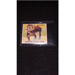 1933 Jungle Chewing Gum Mandrill