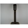 Image 3 : STELLA 12 STRING ACOUSTIC GUITAR