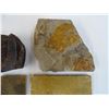 Image 2 : GROUPING OF FOSSILS