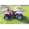Image 1 : Suzuki Quad Runner