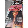 Image 3 : (15) 1970's Gallery Magazines