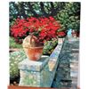 Howard Behrens 