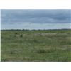 Image 3 : 160 +/- Acres of Grass and CRP Land