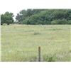 Image 4 : 160 +/- Acres of Grass and CRP Land