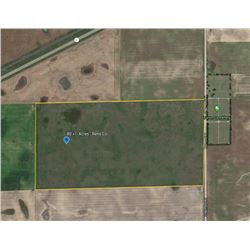 80 +/- Acres