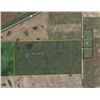 Image 1 : 80 +/- Acres