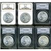 Image 1 : Lot of Six Morgan Dollars MS66