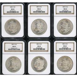 Lot of Twelve 1885-O Morgan Dollars NGC