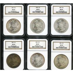 Lot of Twelve 1886 Morgan Dollars NGC