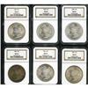 Image 1 : Lot of Twelve 1886 Morgan Dollars NGC