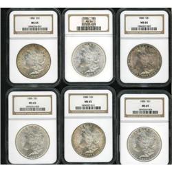 Lot of Twelve Morgan Dollars