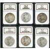 Image 1 : Lot of Twelve Morgan Dollars