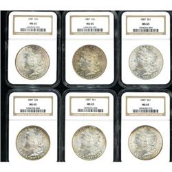 Lot of Twelve Morgan Dollars