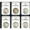 Image 1 : Lot of Twelve Morgan Dollars