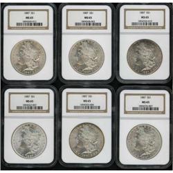 Lot of Ten 1887 Morgan Dollars NGC MS65
