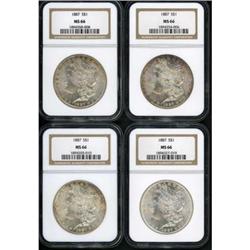 Lot of Four 1887 Morgan Dollars NGC MS66