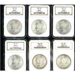 Lot of Twelve Morgan Dollars NGC