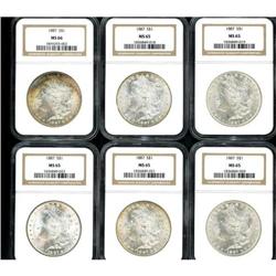 Lot of Twelve Morgan Dollars NGC