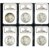 Image 1 : Lot of Twelve Morgan Dollars NGC