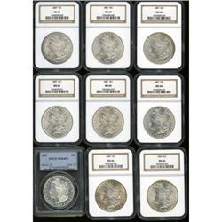 Lot of Eleven Morgan Dollars