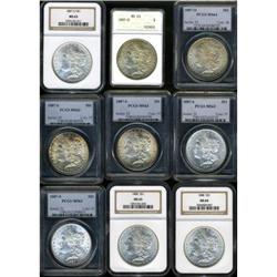 Lot of Eleven Morgan Dollars