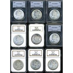 Lot of Nine Morgan Dollars